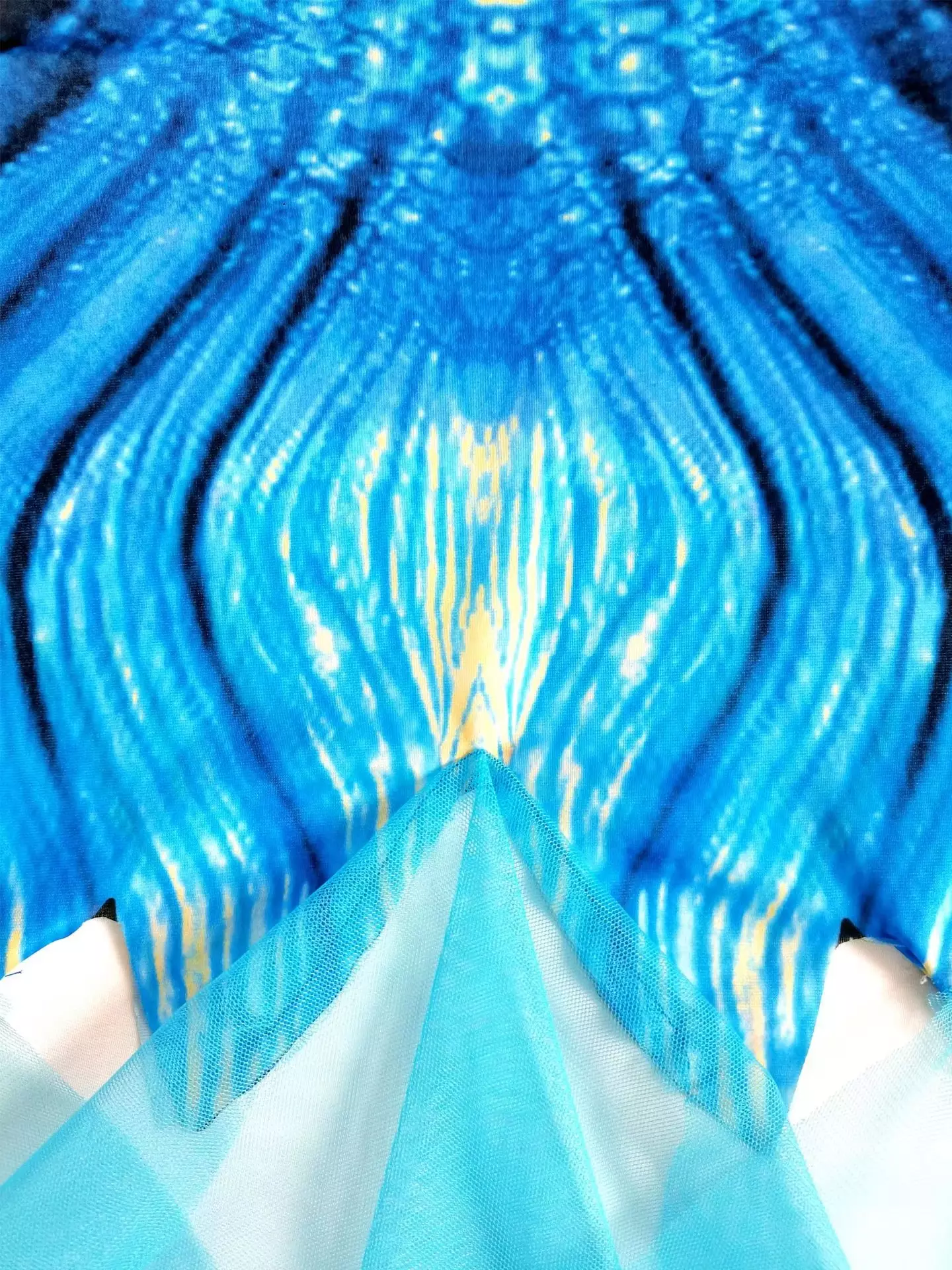 xx